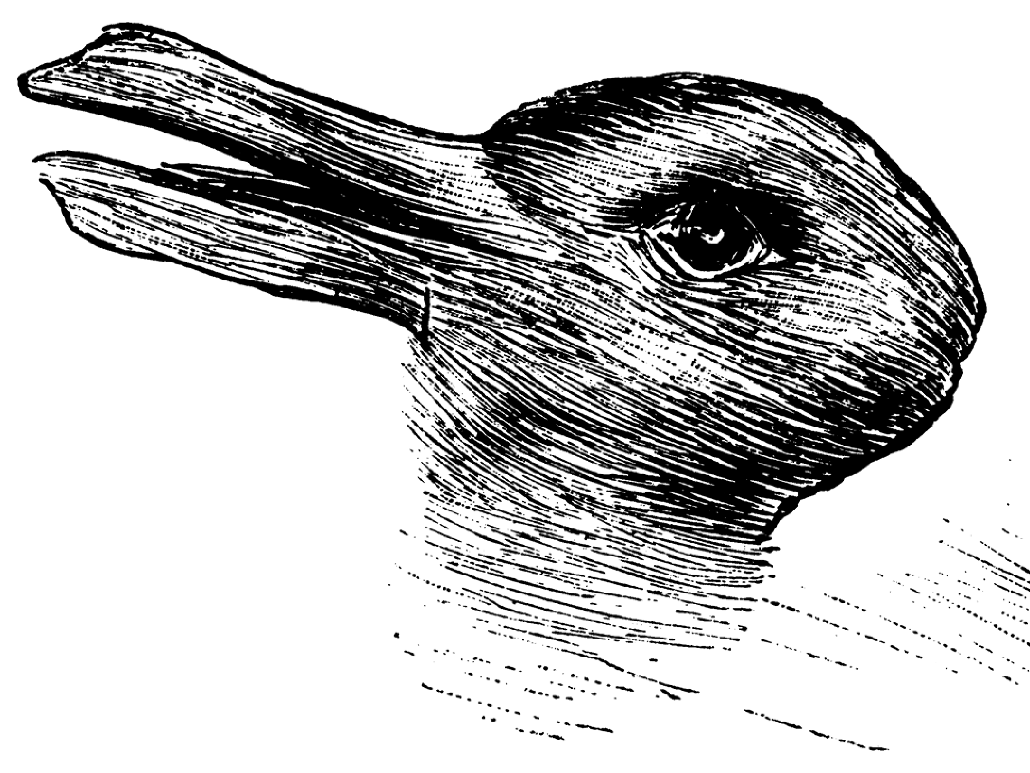 Duck or rabbit? 100-year-old optical illusion could tell you how creative you are | The Independent